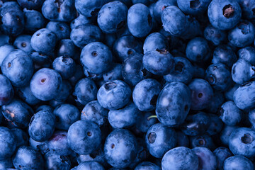 Fresh blueberry background. Texture blueberry berries close up.