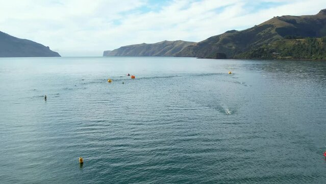 Aerial view of triathlon swimmers navigating course with exit to ocean visible - Wainui, Akaroa Harbor (New Zealand)