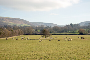 Wye Valley Scenery.