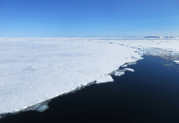 Pakijs, Spitsbergen  Pack ice, Svalbard © Marc