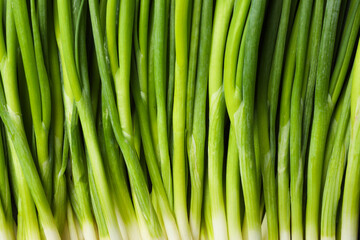 Fresh green spring onions as background, top view