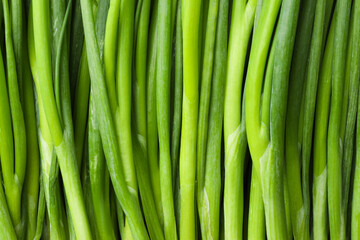 Fresh green spring onions as background, top view