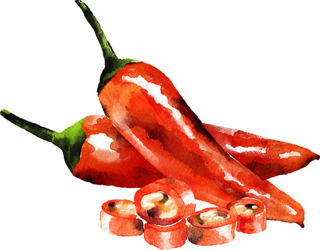 recommend clip art: Red hot chili pepper slice hand drawn watercolor painting isolated on white background