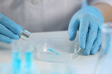 Fototapeta premium Scientist dripping liquid from pipette into petri dish at table, closeup