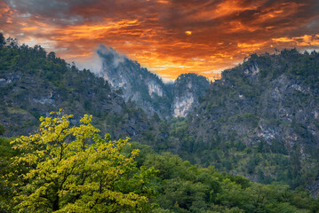 Fototapeta na wymiar Mountains and forests of Abkhazia.