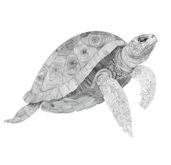 Fototapeta premium linear freehand drawing of a sea turtle, the author's unique illustration with a black pen