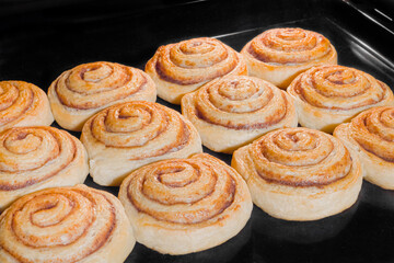 Twelve cinnamon buns baking and rising on tray in electric oven - close up view. Homemade bakery, food, cooking and pastry concept