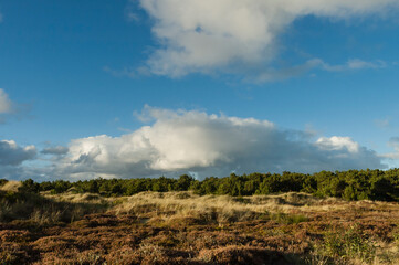 Duinen op Vlieland, Dunes at Vlieland