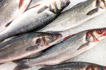 fresh fish on fish market