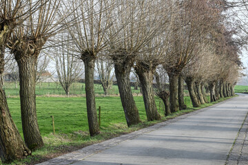 Obraz premium Belgique Belgie Flandres Flanders Lovendegem moulin molen Gent Ghent Molendam