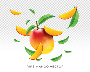 realistic fruits vector 