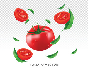 realistic fruits vector 