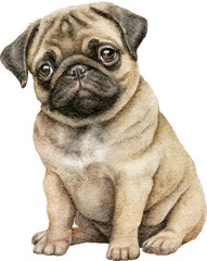 Obraz premium Cute pug dog created with Generative AI technology