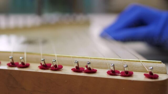 Gusli is an ancient folk Slavic instrument. production. a worker tunes the strings. close-up. 4k