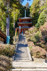 【奈良県】大和郡山市 松尾寺 (2023/02/22 撮影)