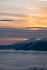 Dragobrat, Ukraine mountain landscape with fog and fir trees.