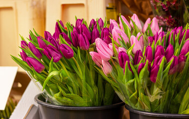 bouquets of spring pink tulip flowers in flower shop