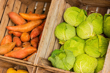 vegetables in wooden boxes on the counter of market, cabbage and sweet potato. organic, healthy and vegetarian food