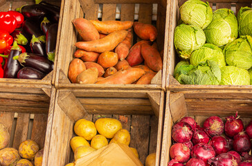 various vegetables on the counter of market. organic, healthy and vegetarian food