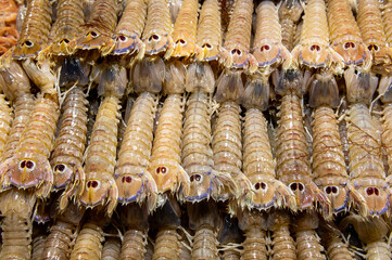 fresh mantis shrimp on fish market