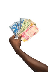 hand with money with arranged naira notes in order of it value. The new Nigerian currency is...