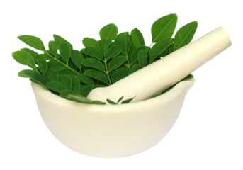 Edible moringa leaves in a mortar with pestle