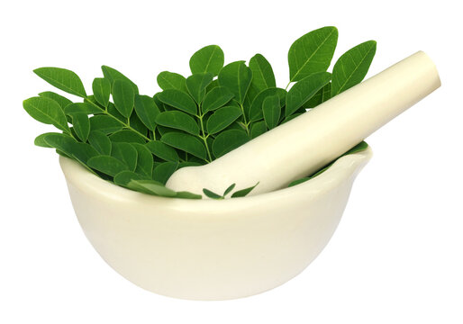 Edible moringa leaves in a mortar with pestle