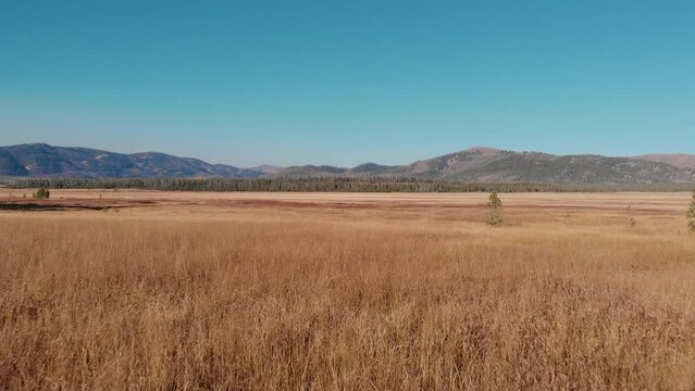 4K Drone fly over open country field in the Sawtooth Mountains, Stanley Idaho.