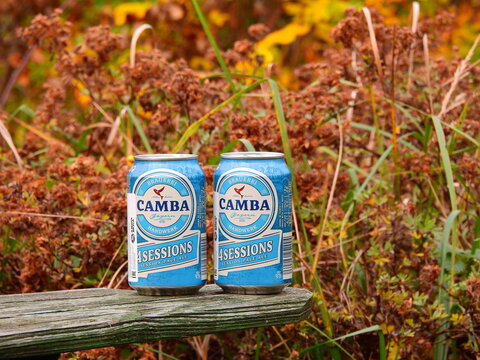 Two cans of Camba 4 Sessions session pale ale craft beer on a rustic table in a lush autumn garden, Aimusovo, Russia - October 12 2020