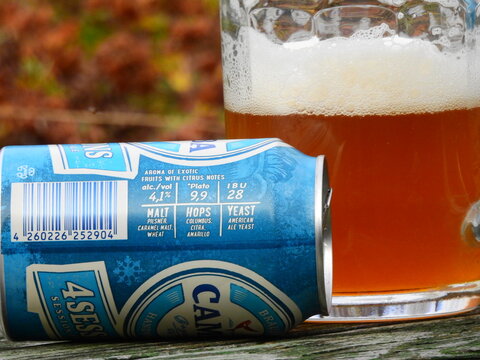 Two cans of Camba 4 Sessions session pale ale craft beer on a rustic table in a lush autumn garden, Aimusovo, Russia - October 12 2020