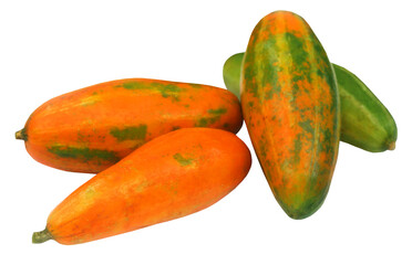 Red Pointed gourd