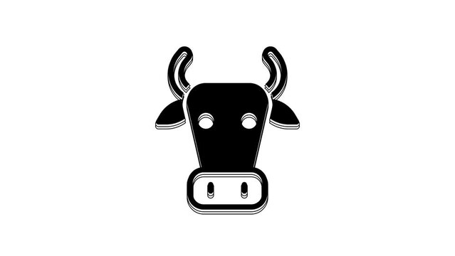 Black Cow icon isolated on white background. 4K Video motion graphic animation