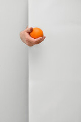 Male hand holding and offering orange fruit behind white wall background