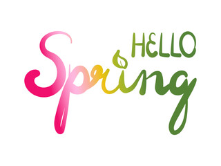 Hello spring colorful lettering and calligraphy vector illustration. Handwritten words decorated with leaf. Pink and green gradient. Seasonal phrase for poster design, logo