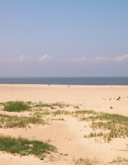 Baltic Sea Coast on Sobieszewska Island. The estuary of the Vistula River.