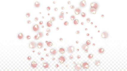 Pink Vector Realistic Petals Falling on Transparent Background.  Spring Romantic Flowers Illustration. Flying Petals. Sakura Spa Design. Blossom Confetti. Design Elements for Wedding Decoration.