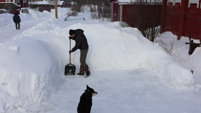 Dog watches snow removal in backyard of rural house, man uses shovel to clear his territory.