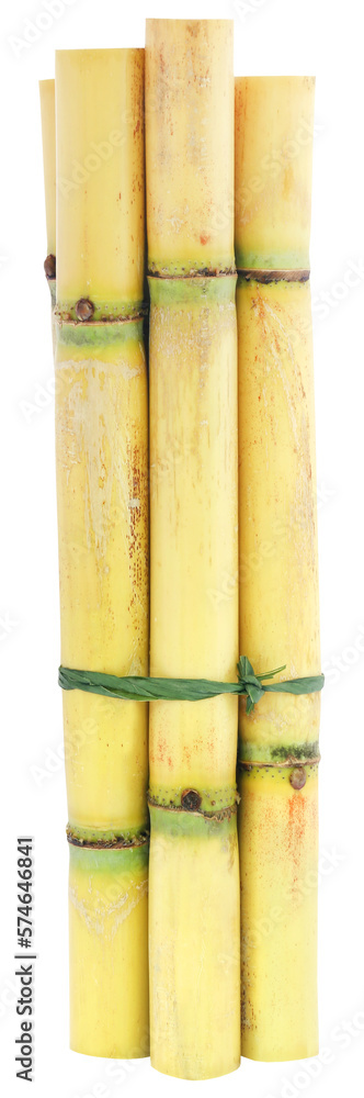 Canvas Prints piece of sugarcane