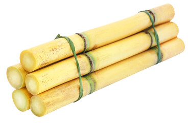 Piece of sugarcane