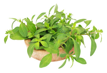 Thyme leaves in a wooden bowl