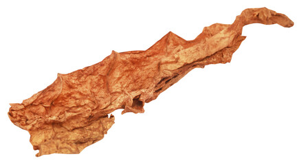 Fototapeta premium Dry tobacco leaves