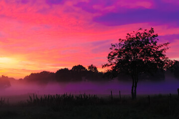 Fototapeta na wymiar Purple and pink sunset with a tree on a field