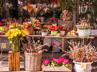 Different flowers and seedlings near the florist flower shop entrance, spring time, easter concept