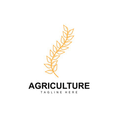 Rice Logo, Agriculture Design, Vector Wheat Rice Icon Template Illustration