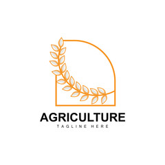 Obraz premium Rice Logo, Agriculture Design, Vector Wheat Rice Icon Template Illustration