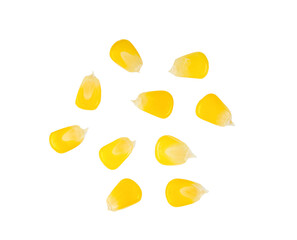 corn seeds isolated on transparent png