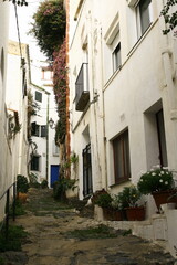 Le centre historique de la ville de Cadaqués, située dans la région de Catalogne en Espagne, est un labyrinthe de ruelles pavées et d'habitations blanches aux volets et portes bleues