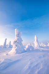 landscape with snow