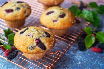 freshly baked homemade mulberry muffins cooling on rack.