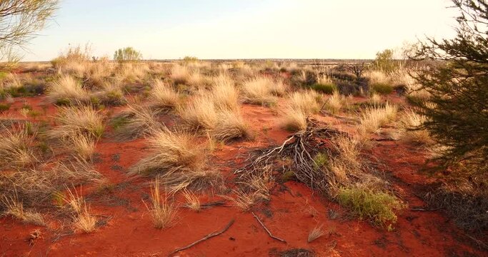 Outback Australia Red Desert Landscape Sand and Dry Arid Grasslands